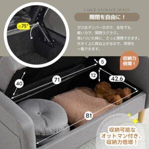 OSJ Sofa with Storage for 2 People. Width 41.3 inches (105 cm). Elbow Included. Cushioned. Compact. Low Sofa. Can Be Passed Through Vacuum Cleaners. Easy Assembly. Loveseat Sofa. 2-Seater Sofa. Gray