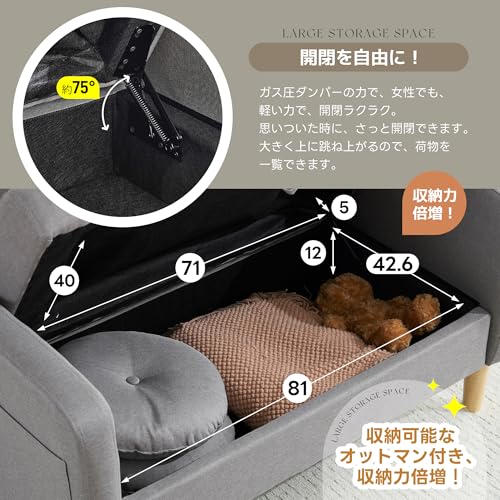 OSJ Sofa with Storage for 2 People. Width 41.3 inches (105 cm). Elbow Included. Cushioned. Compact. Low Sofa. Can Be Passed Through Vacuum Cleaners. Easy Assembly. Loveseat Sofa. 2-Seater Sofa. Gray